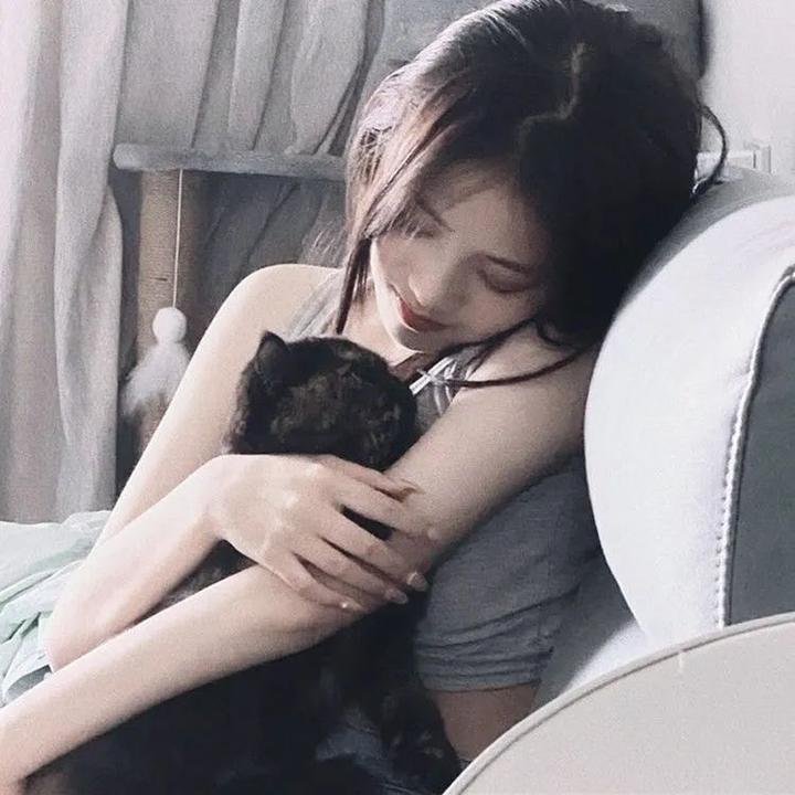 腌黄瓜先生第二季